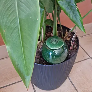ollas-a-planter-vert-fonce-pot-2.webp